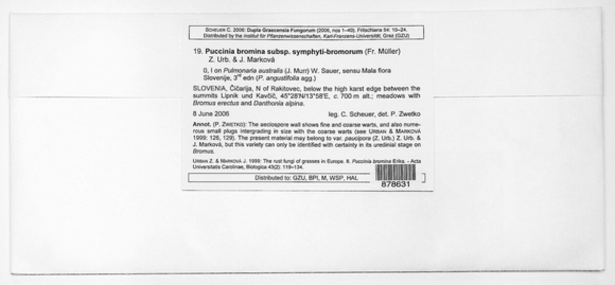 Puccinia bromina subsp. symphyti-bromorum image